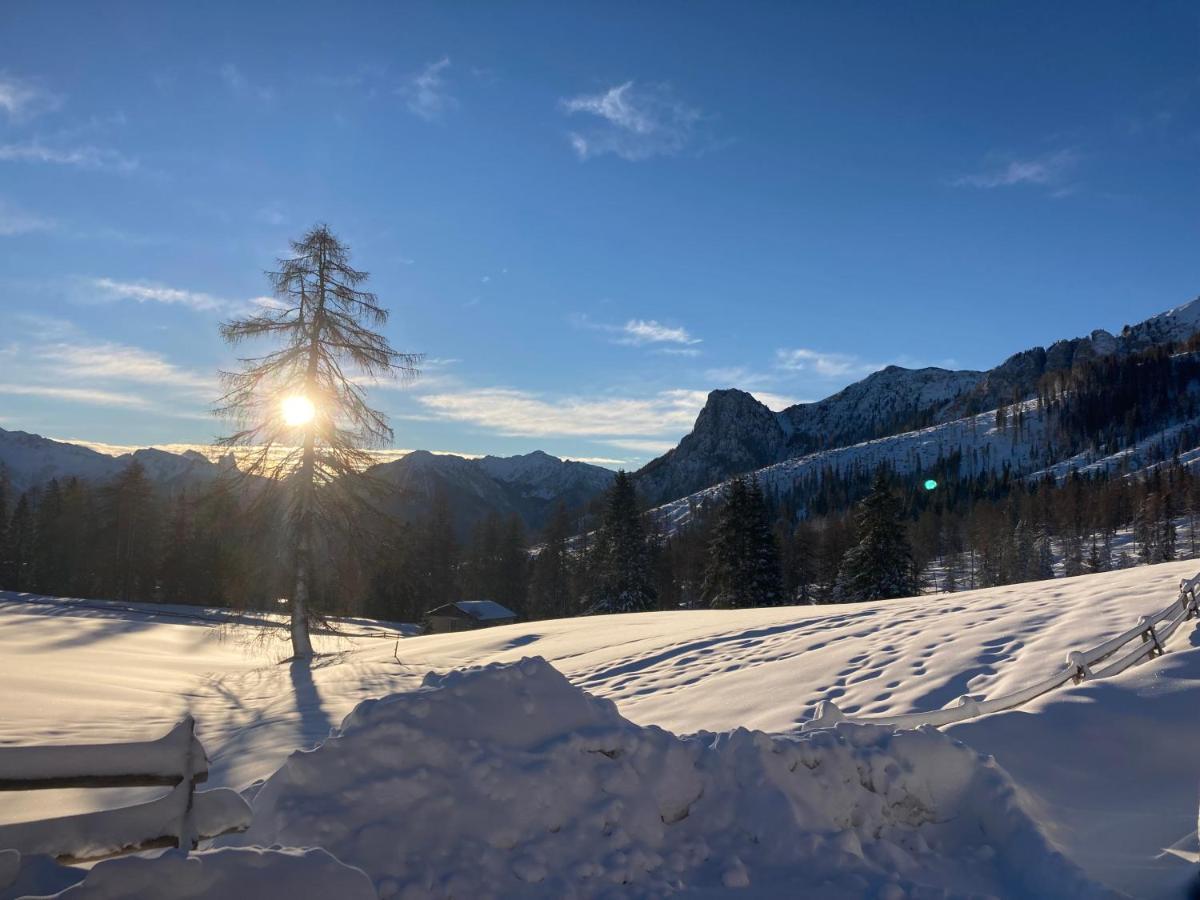 Renoviertes Apartment Mit Terrasse An Der Piste Mit Kostenlosen Wifi Carezza al Lago Eksteriør billede